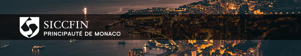 Service d'Information et de Contrôle sur les Circuits Financiers